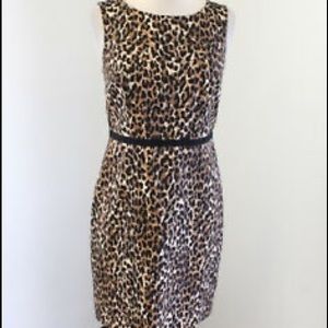 LOFT Size 4 EUC Almost Brand New Below knee dress